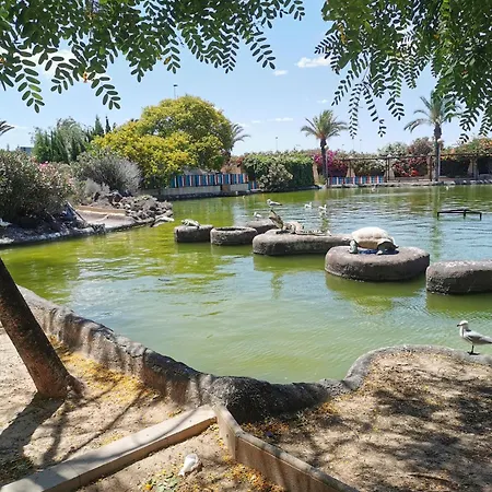 Playa Naufragos. Appartement *